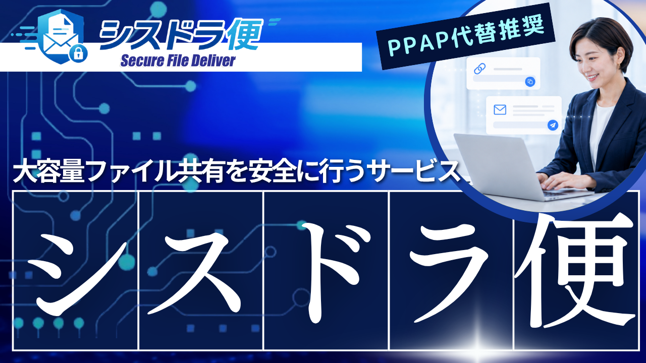 シスドラ便の紹介イメージ